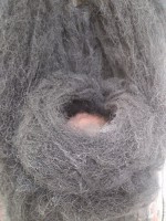 /album/fotogaleria-2014/a2014-06-11-18-44-29-jpg/